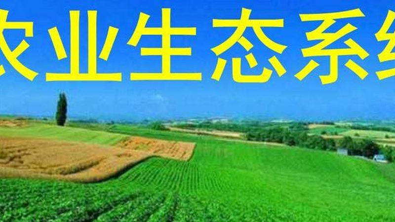 有机肥生产设备安装，这些注意事项不容忽视**