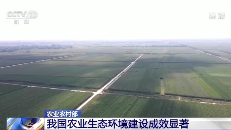 农产品配送系统：农业供应链的智慧纽带**