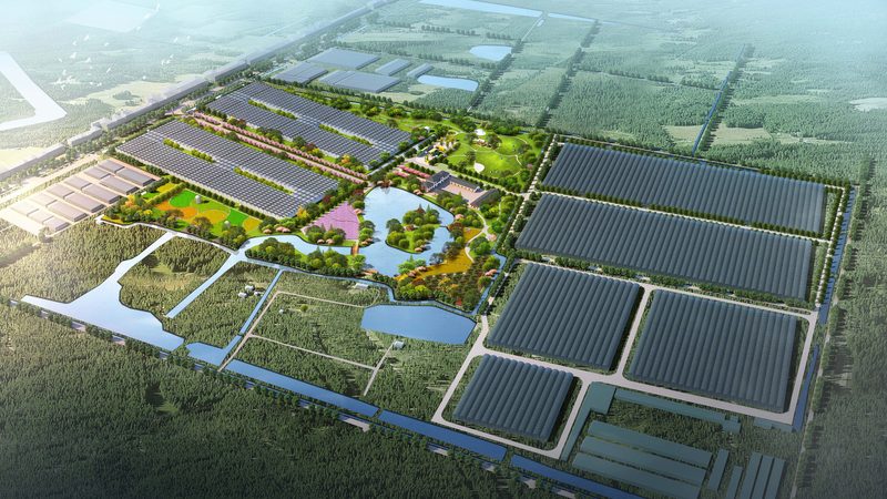 无土种植设备主要包括灌溉系统、营养液配制系统、温室设施等。这些设备具有以下特点：
