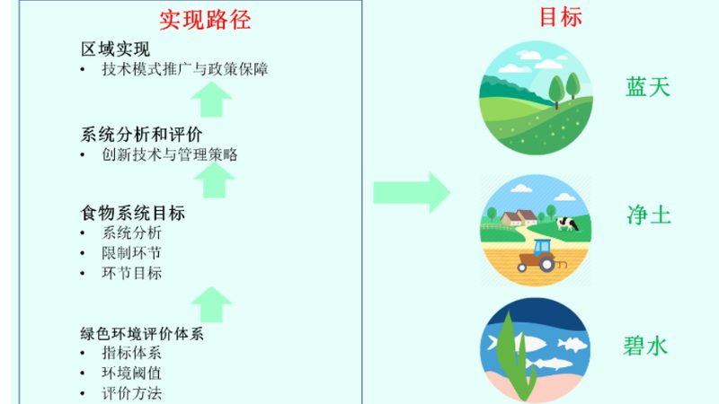 南方水果种植基地哪家好？关键在于生态与技术的平衡