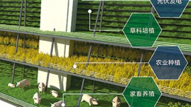 农资批发与零售：税收政策差异解析**
