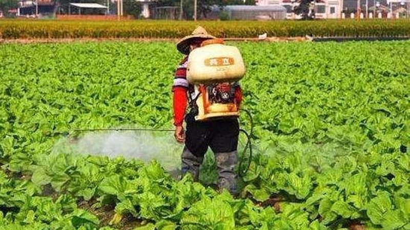 土壤改良工程：农业可持续发展的基石
